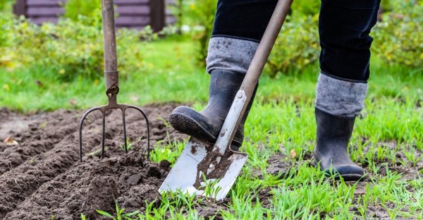 Spring_Yard_Work_picture.jpg